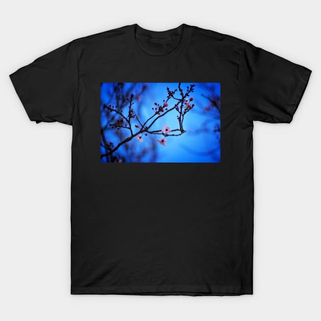 Blossom in Blue T-Shirt by InspiraImage